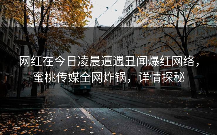 网红在今日凌晨遭遇丑闻爆红网络，蜜桃传媒全网炸锅，详情探秘