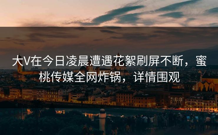 大V在今日凌晨遭遇花絮刷屏不断，蜜桃传媒全网炸锅，详情围观