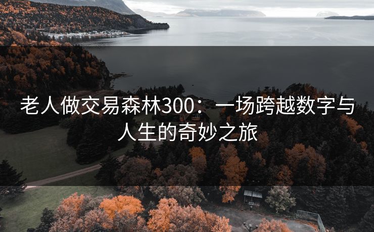 老人做交易森林300：一场跨越数字与人生的奇妙之旅